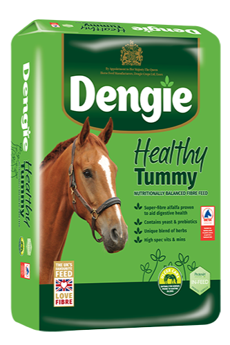 Dengie Healthy Tummy 20kg