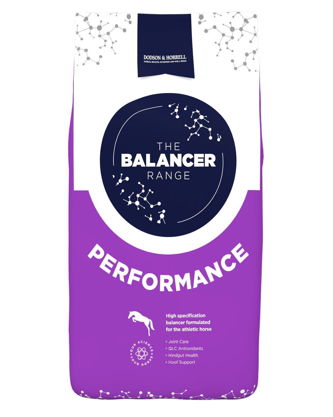 Dodson & Horrell Performance Balancer 15kg