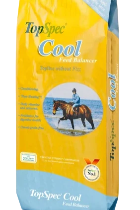 Top Spec Cool Balancer 15kg