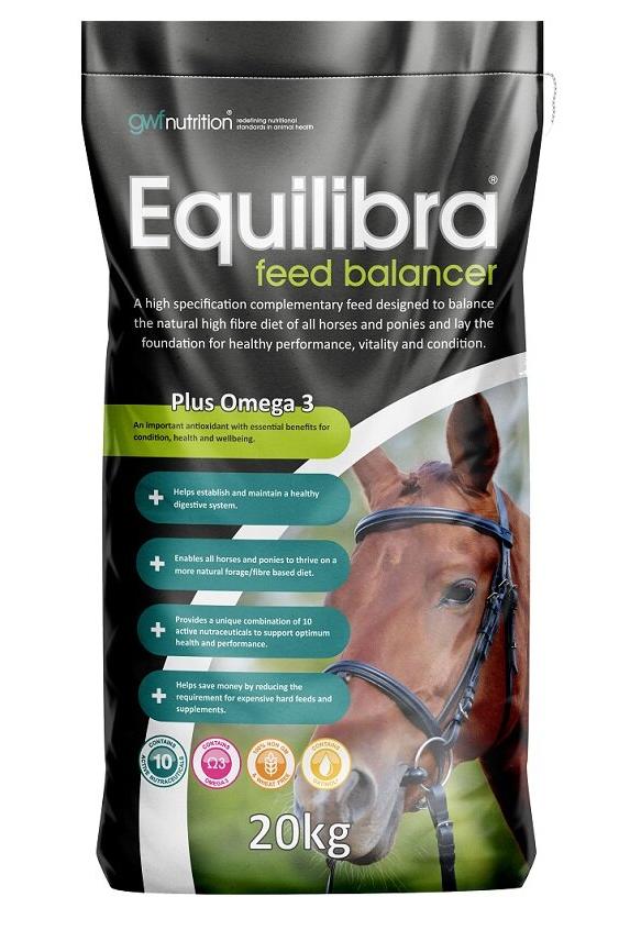 GWF Equilibra Balancer 20kg