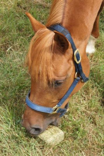 Simple Systems Lucie Brix 1kg