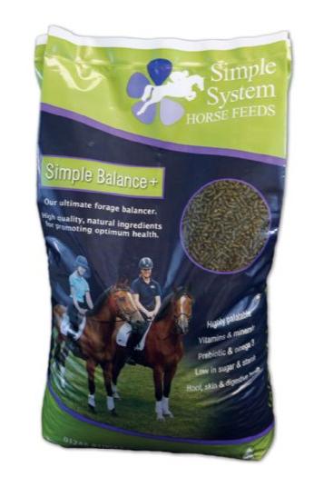 Simple Systems Simple Balance + 15kg