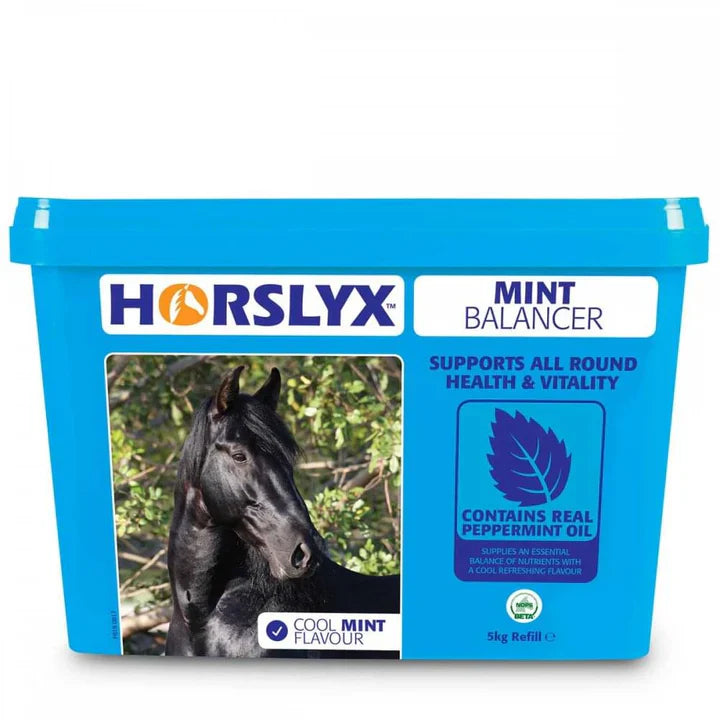 Horslyx Mint Lick 15kg